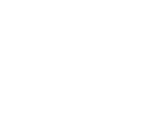 Vulture City Logo