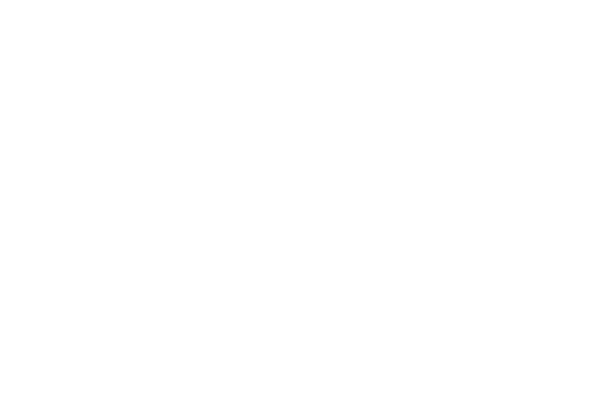 Vulture City Logo