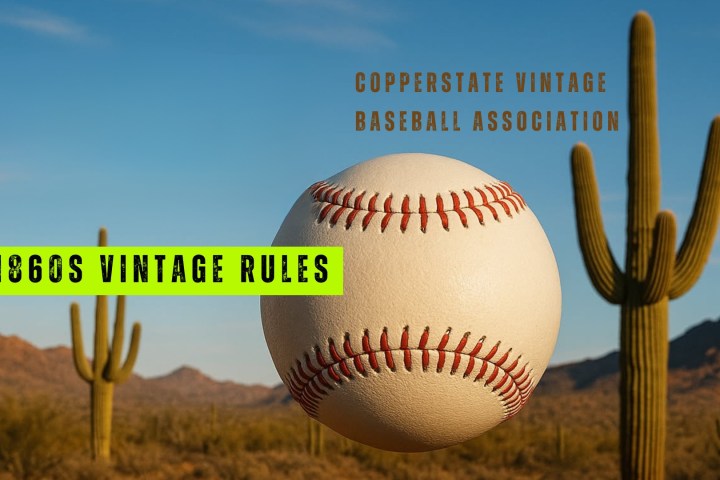 Baseball with text '1860s Vintage Rules' and cacti in desert landscape.